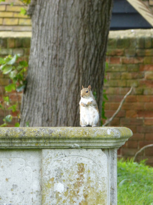 2017-10-03 Saffron Walden 1.jpg
