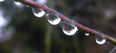 tropf_009.jpg