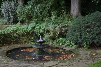 DSC_7134.JPG