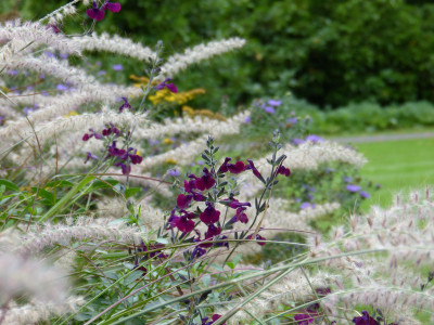 2010-10-04 Cambridge Botanical Garden 9.jpg