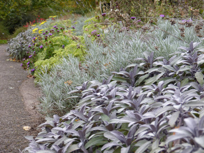 2010-10-04 Cambridge Botanical Garden 13.jpg