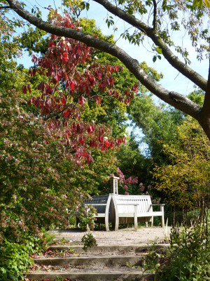 2017-10-05 RHS Garden Wisley 12.jpg