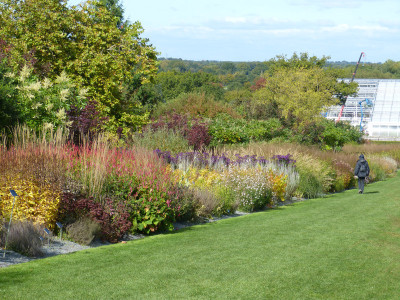 2017-10-05 RHS Garden Wisley 17.jpg