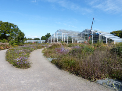 2017-10-05 RHS Garden Wisley 20.jpg