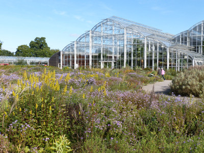2017-10-05 RHS Garden Wisley 21.jpg