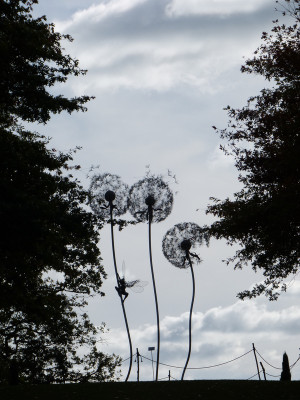 2017-10-05 RHS Garden Wisley 25.jpg