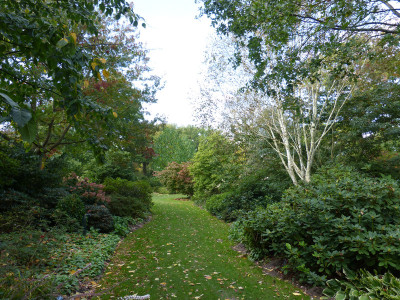 2017-10-05 RHS Garden Wisley 27.jpg