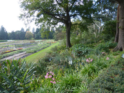 2017-10-05 RHS Garden Wisley 33.jpg