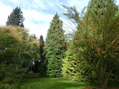 P1020592 a.jpg
