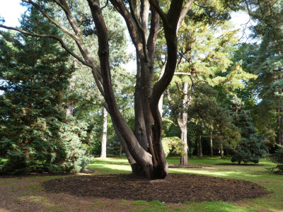 P1020596 a.jpg