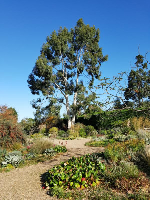 20171003_100158.jpg