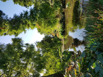 20171003_100527.jpg