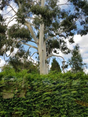 20171003_114930.jpg