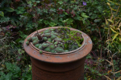 DSC_6948.JPG