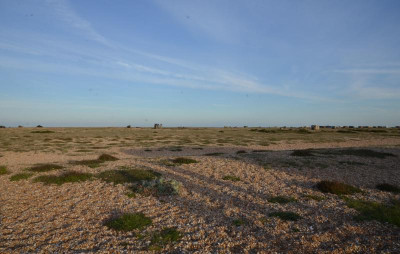 DSC_7655.JPG