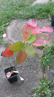 20171010_134046.jpg