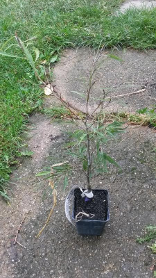 20171010_133935.jpg