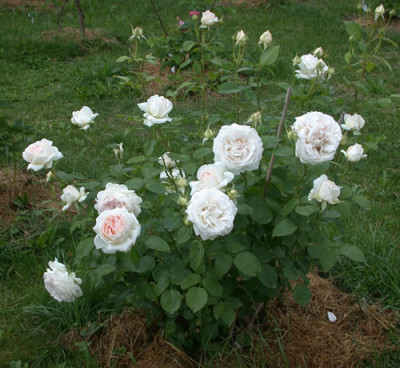 Sebastian_Kneipp_HS_0010__28690.jpg