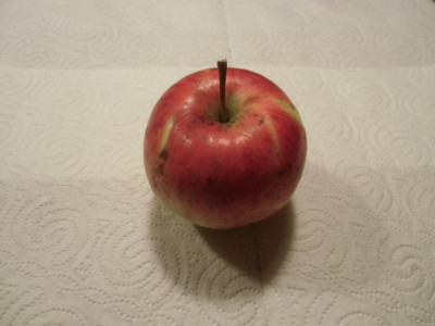 DSCI0544.JPG