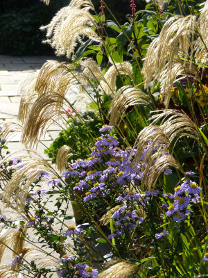 2017-10-06 Great Dixter 14.jpg