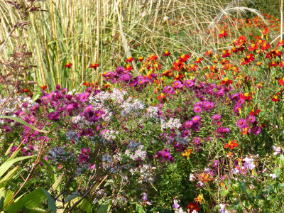 2017-10-06 Great Dixter 27.jpg