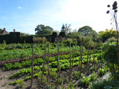 2017-10-06 Great Dixter 30.jpg