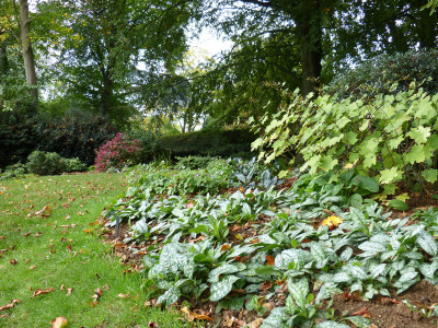 2017-10-04 Coton Manor Garden 32.jpg