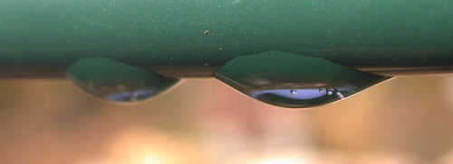 DSCN1610_Tropfen_an_der_Stange_.jpg