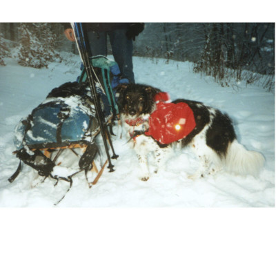 Sherpa_Dickie_2.jpg