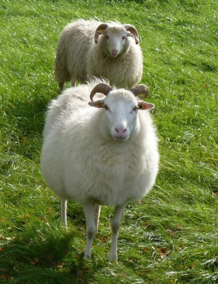 BjörnundHeidi.JPG