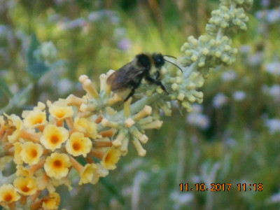 DSCN2944.jpg