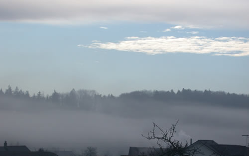 DSCN1517_Nebel_0010_.jpg