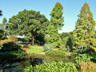 20171003_100837.jpg