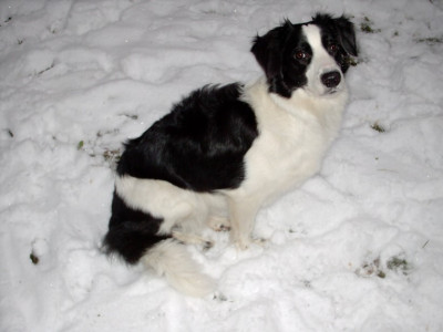 beska_im_schnee-_05_014.jpg