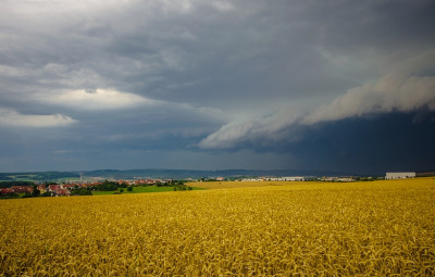 unbenannt-5116335.jpg