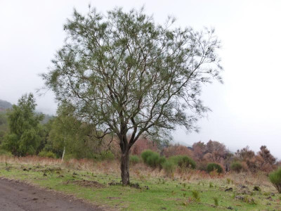 P1110466.JPG