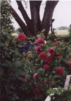 Francois_Arago_gesamt.jpg