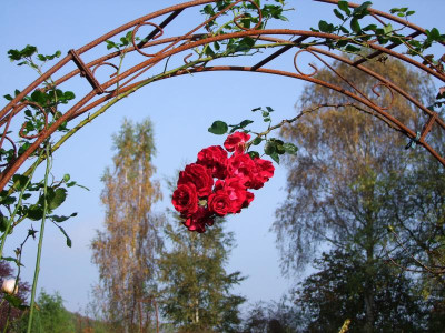 15.10.2017 12-58-38_2894.jpg
