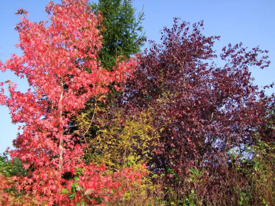 15.10.2017 12-58-47_2907.jpg