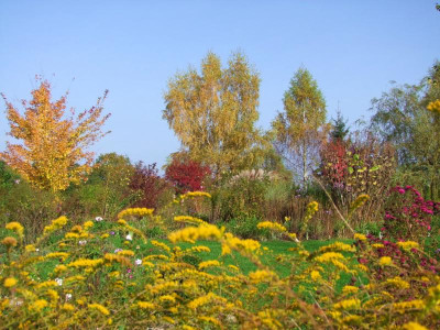 15.10.2017 12-59-02_2930.jpg
