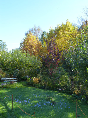 2017-10-15 Garteneinblick 1.jpg