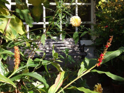 DSCF4503.JPG