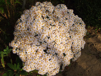 15.10.2017 12-58-05_2842.jpg