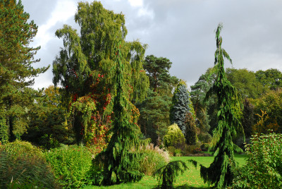2017-10-02 Bressingham Gardens 43.jpg