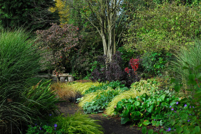 2017-10-02 Bressingham Gardens 45.jpg
