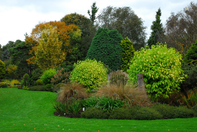 2017-10-02 Bressingham Gardens 46.jpg