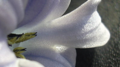 mar_001.jpg
