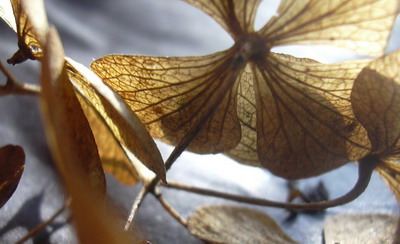 mar_014.jpg