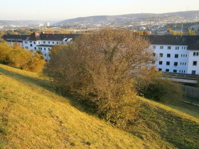 Cannstatt Weinberge 005.JPG