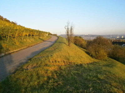 Cannstatt Weinberge 003.JPG